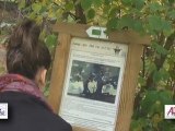 Le site des Etangs de la Julienne ( Visé Argenteau )