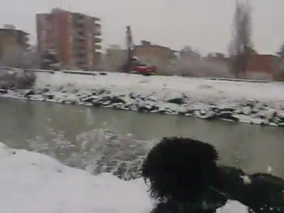 Mon chien m'engueule !