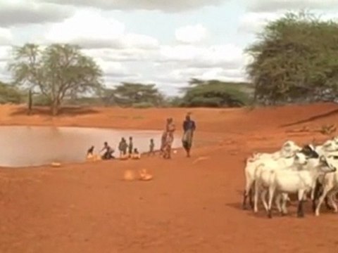 East Africa food crisis appeal: Drought and famine