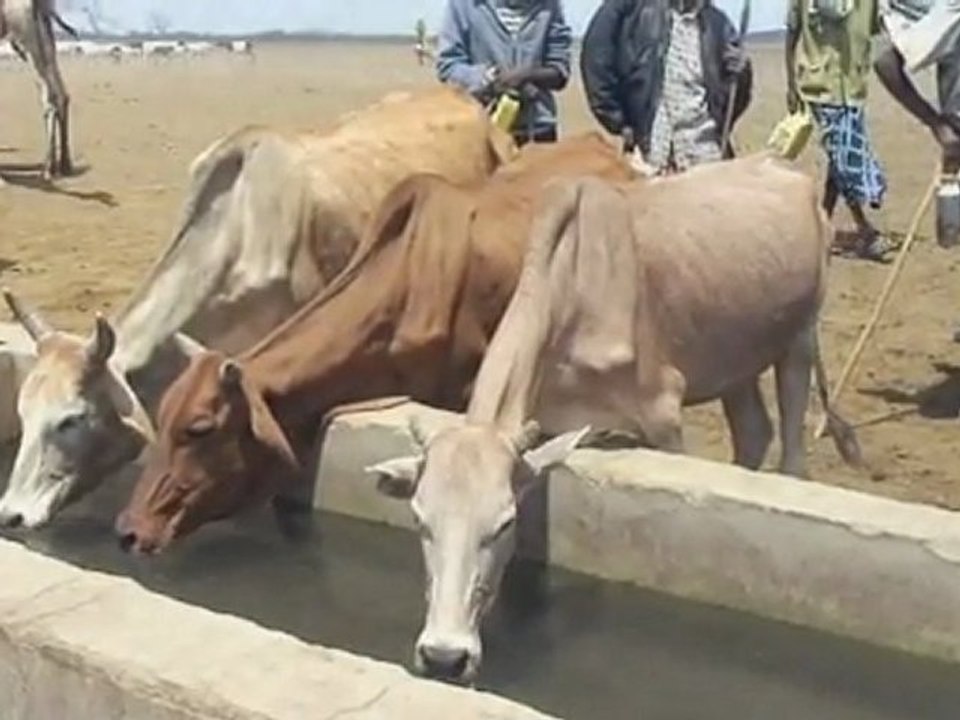 East Africa food crisis appeal: The crisis deepens