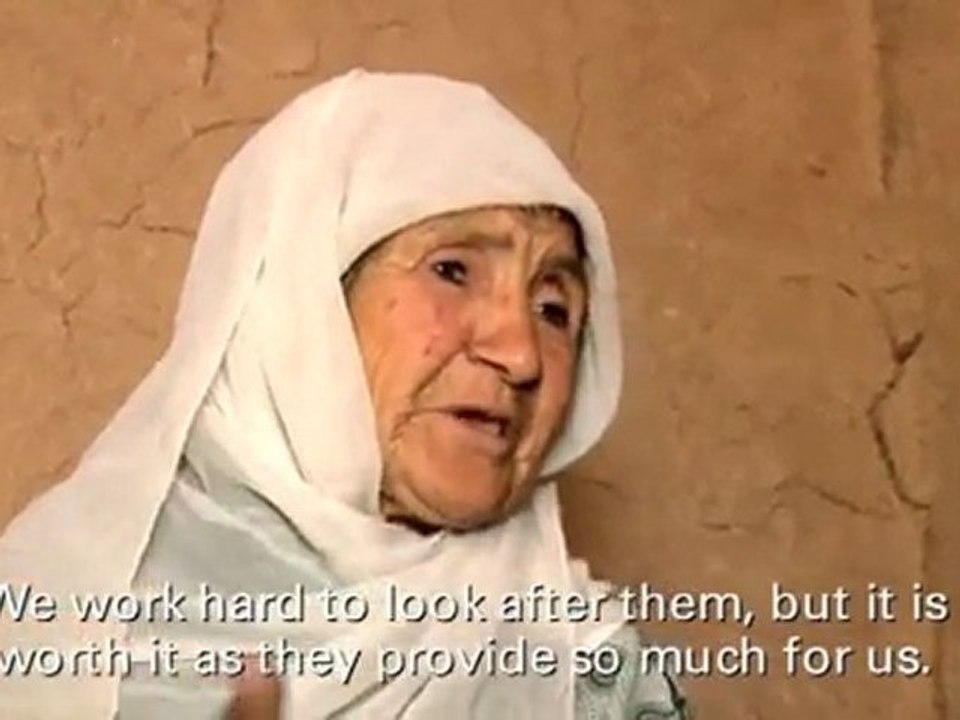 Christian Aid: Women farmers in Afghanistan