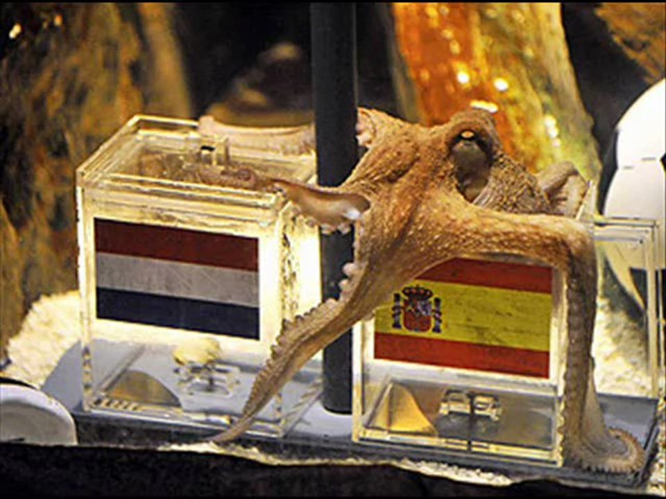 Spain to Win the World Cup! Says psychic Octopus!