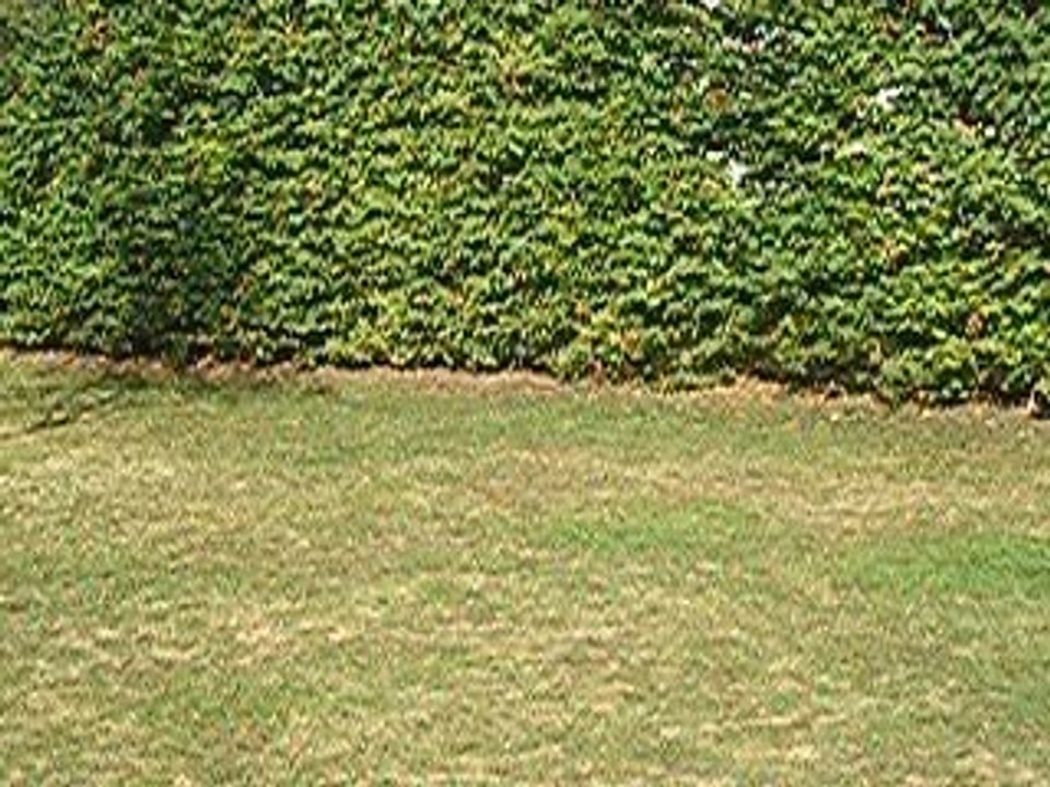 mon velo c le plu bo des velos