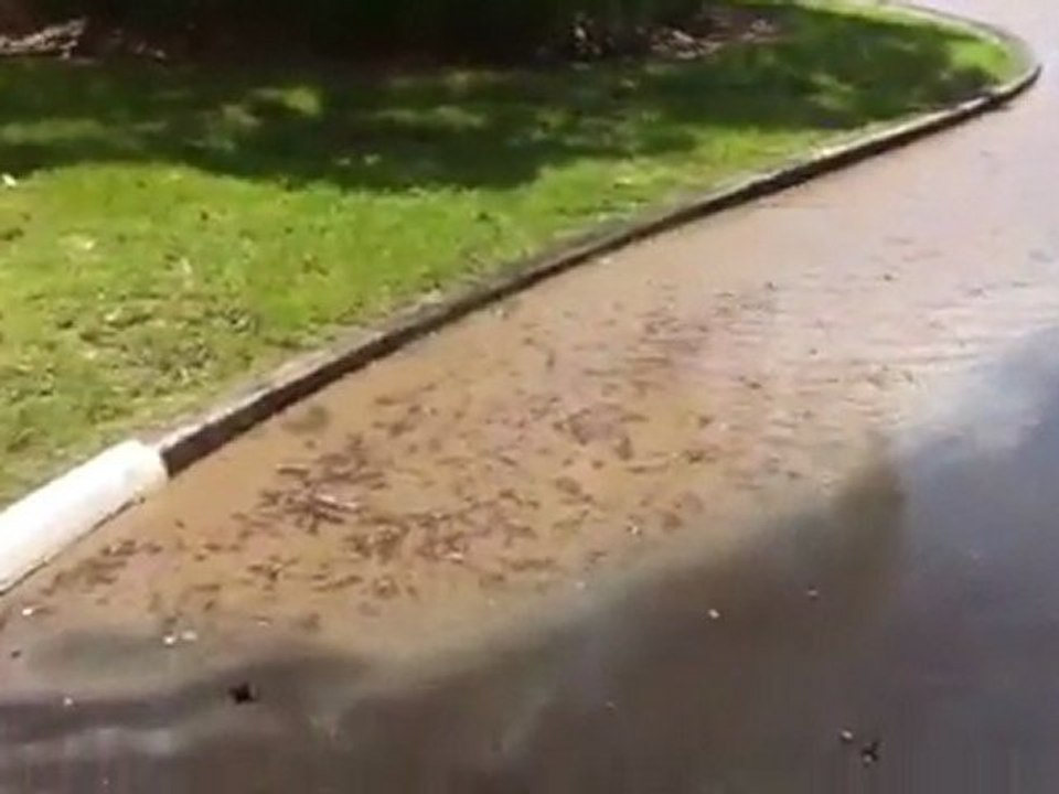 Flood at teneriffe ferry Brisbane
