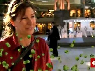 L'épicerie - Pois surgelés ou en conserve