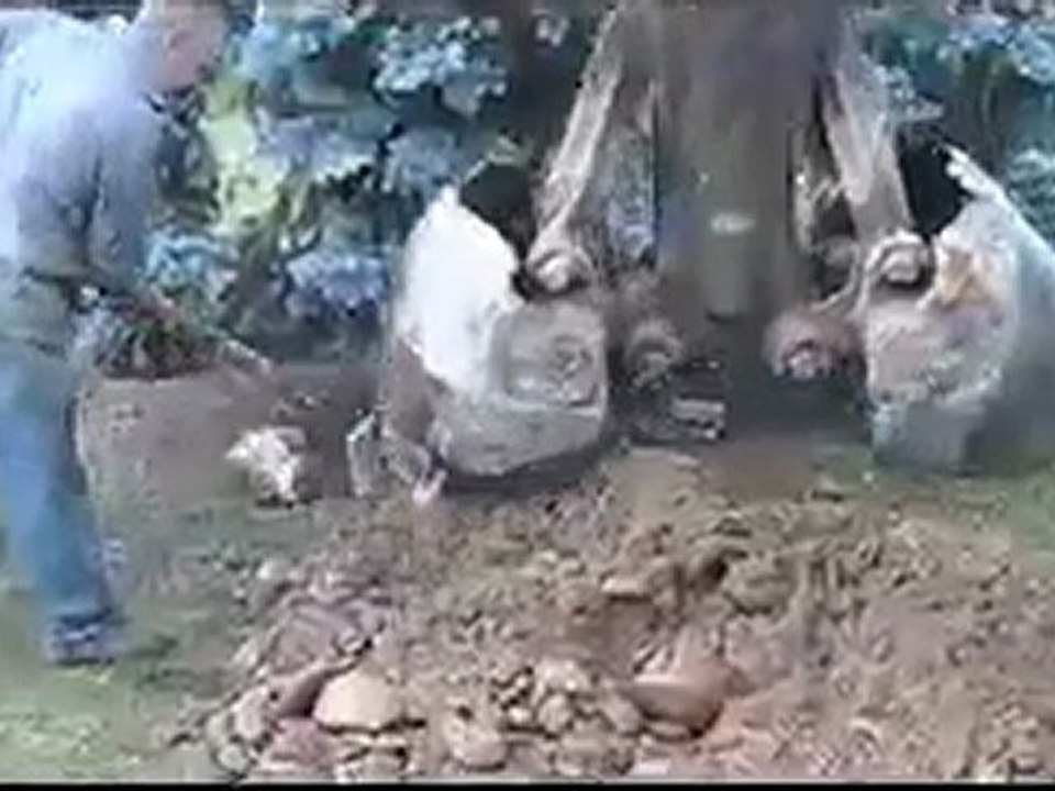 SOURCIER PROFESSIONNEL GEOBIOLOGIE DE L'HABITAT RADIESTHESISTE RHÔNE ALPES Eric FAURAND TEL : 06 78 69 89 98 FRANCE RHONE ALPES LOIRE  42  recherche d eau video, DOWSER