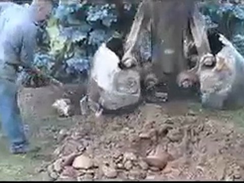 SOURCIER PROFESSIONNEL GEOBIOLOGIE DE L'HABITAT RADIESTHESISTE RHÔNE ALPES Eric FAURAND TEL : 06 78 69 89 98 FRANCE RHONE ALPES LOIRE 42 recherche d eau video, DOWSER