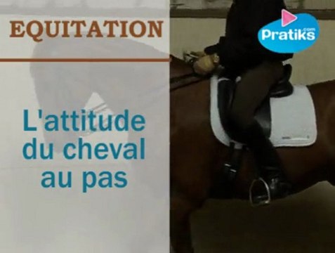 L'attitude du cheval au pas en dressage