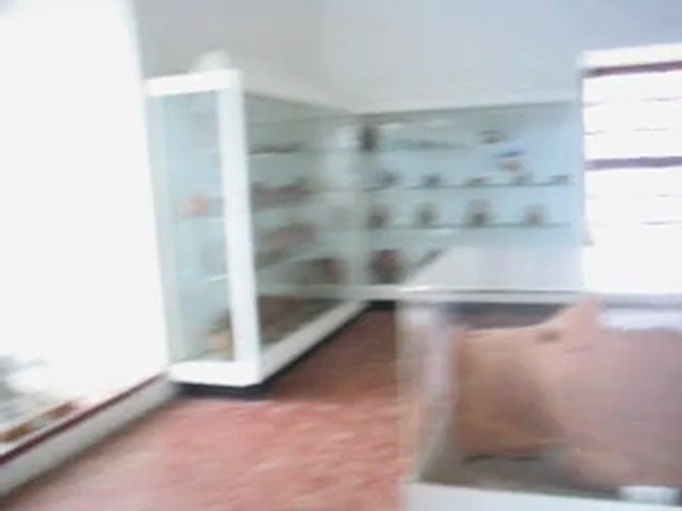 "Serhan ALTINOK " Müze gezisi