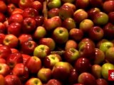 L'épicerie - Les pommes du Québec