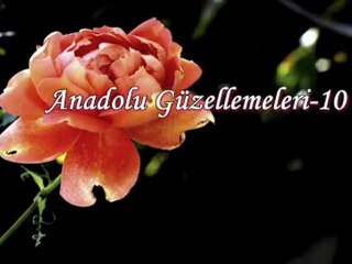 MUHARREM CEMİ..face-show0