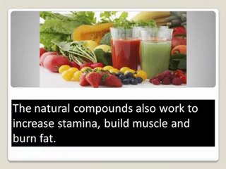 Acai Berry Can Help You to Improve Your Health