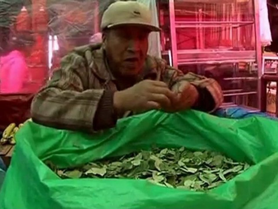 Bolivia's plea on coca leaves