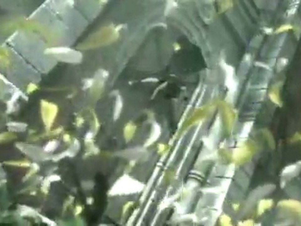 Les Guerriers du Chaos