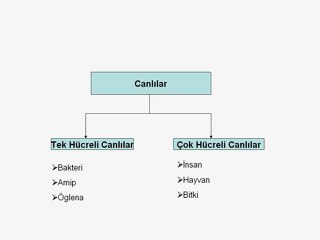 Fen ve Teknoloji Canlılarda Üreme Büyüme ve Gelişme 1 tum-dersler6.tr.gg