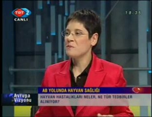 Avrupa Vizyonu - 21.11.2008