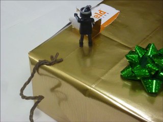 Christmas Burglar Home Security Video