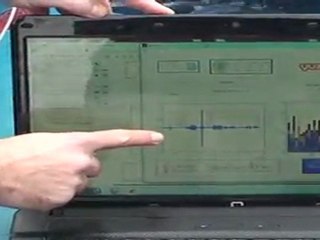 Descifrando el lenguaje de los delfines