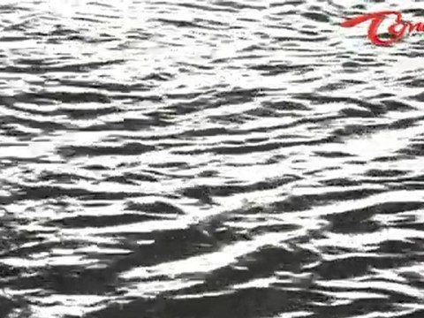 Saakshi - Telugu Songs - Atu Ennela - Krishna - Vijaya Nirmala