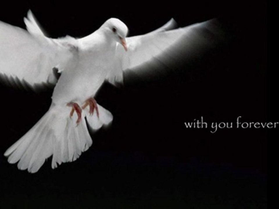 Christian Praise Worship Songs with Lyrics - I Will Not Leave You Orphans (John 14/Scripture Song)