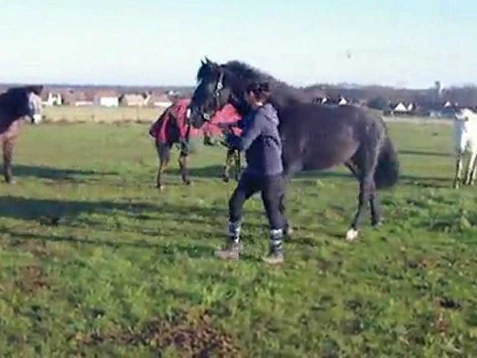 Arrivée à la nouvelle pension - Tango fait son fier