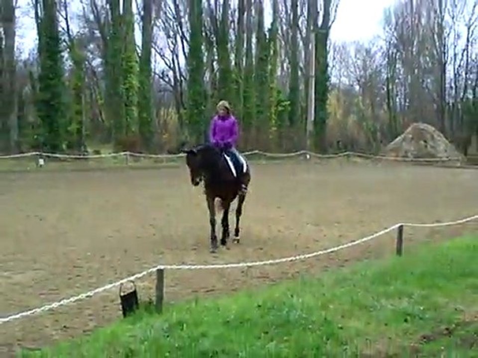 CLIP0003