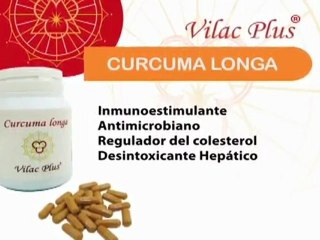 curcuma propiedades