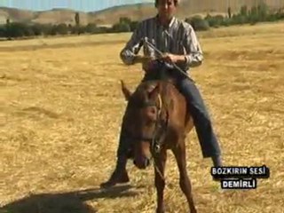 KAMAN DEMİRLİ BELEDİYESİ 6