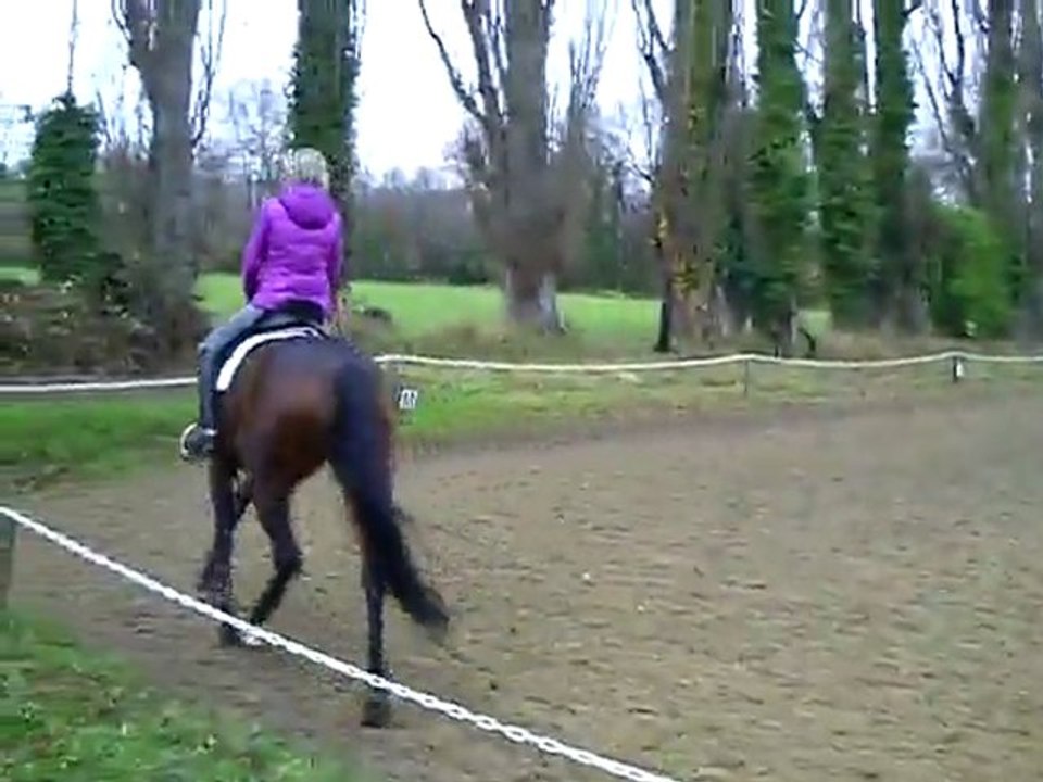 CLIP0004