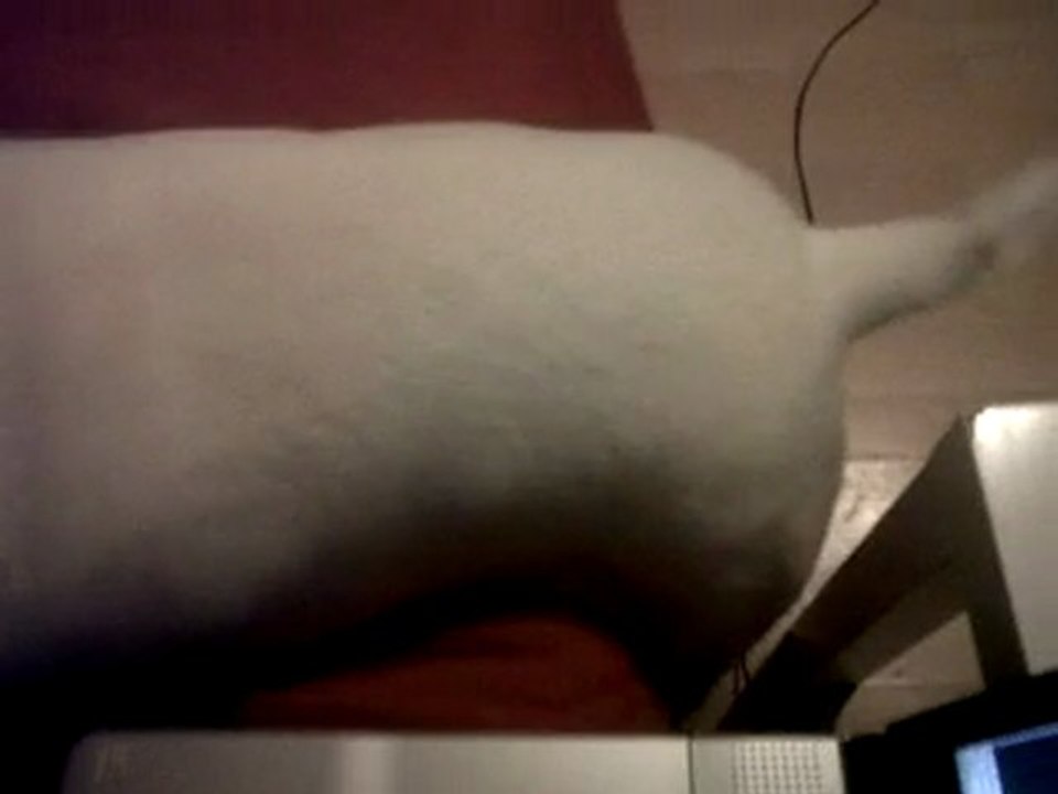 Kéké et le canapé