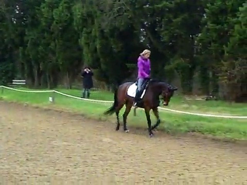 CLIP0008