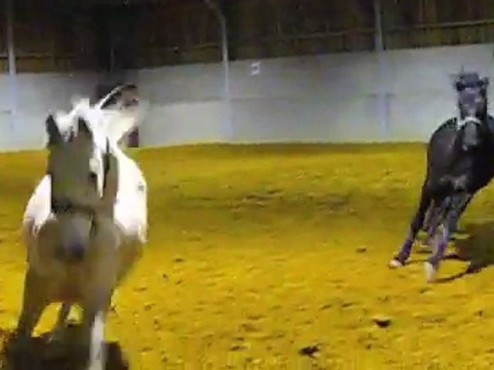 Ulys et Ramsès 16 déc