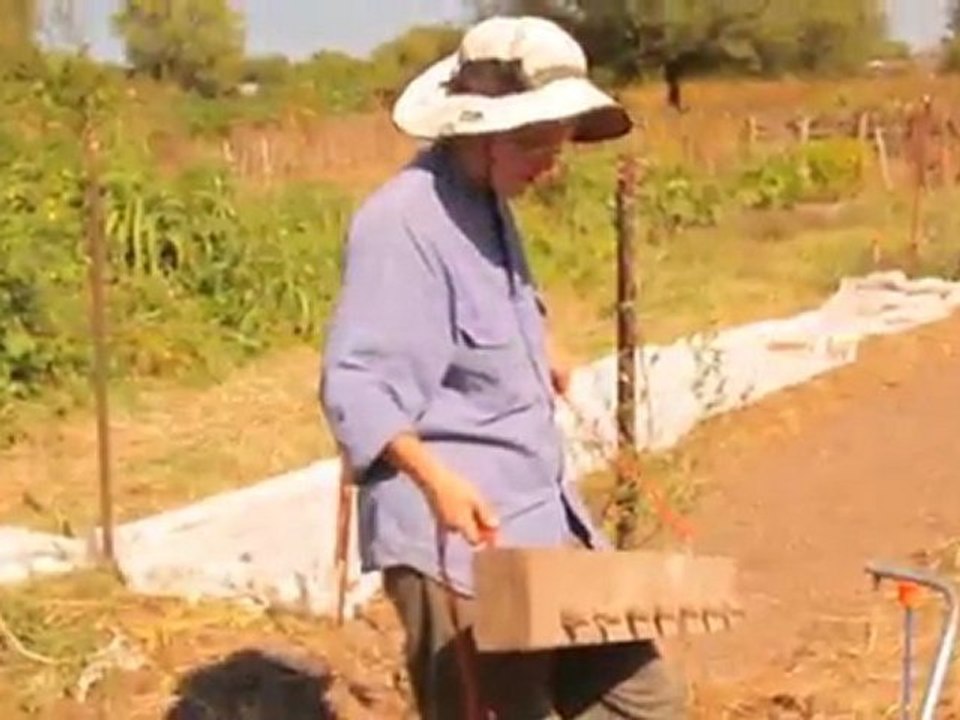 Lett-Uce Plant A Bed!