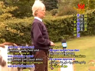 Shining World Loving and Hero Awards: Dave the Daddy Dog