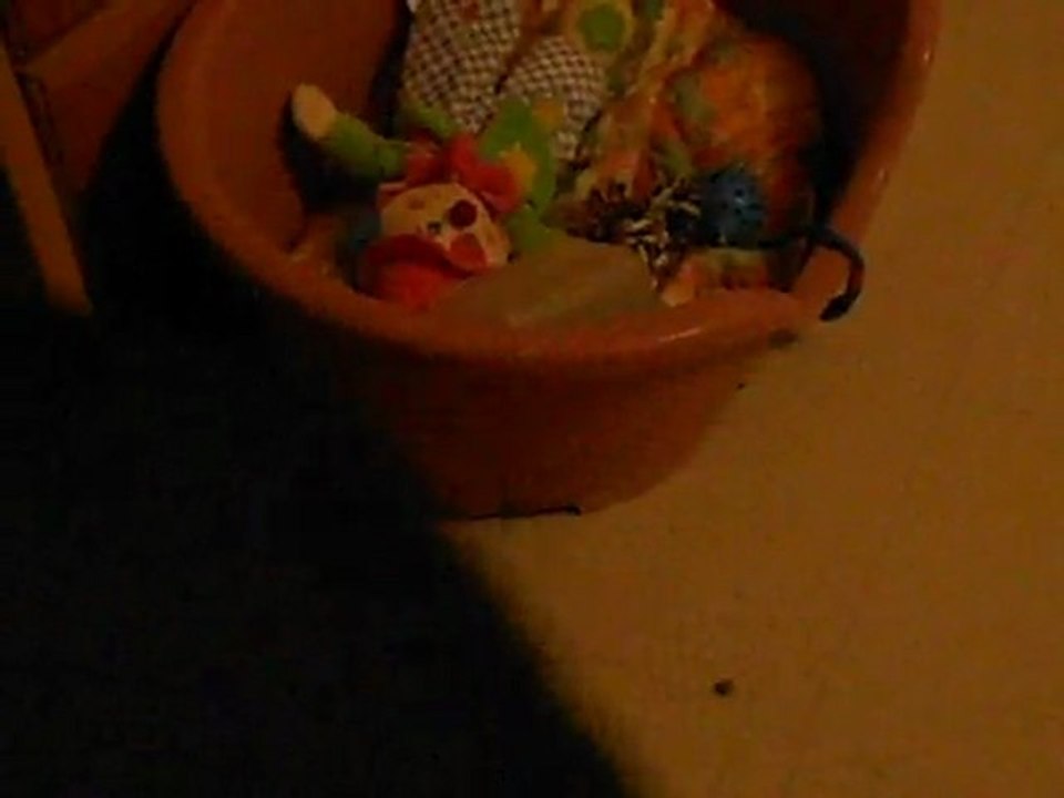 le moment de folie de ginger