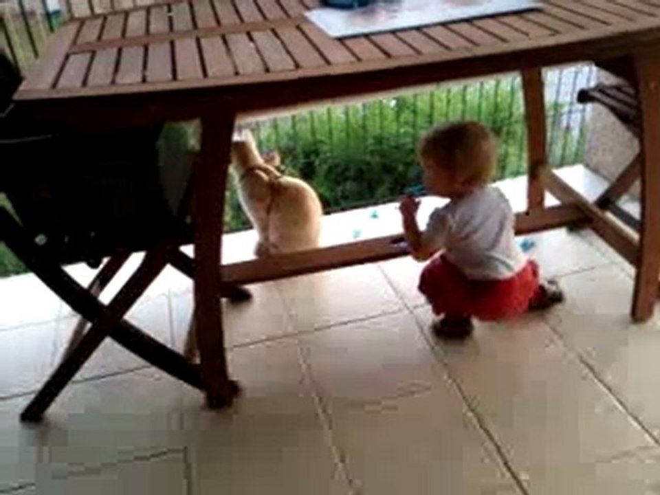 Vidéo0052