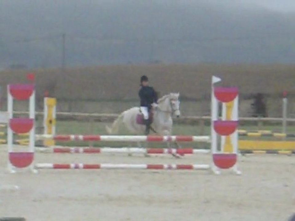 Elevage de l'Hoste - CSO St Michel - 27.11.2011