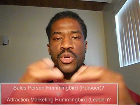 Attraction Marketing Leaders & Hummingbirds Examples = Internet Network Marketing Insight