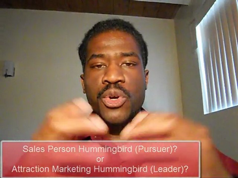 Attraction Marketing Leaders & Hummingbirds Examples = Internet Network Marketing Insight