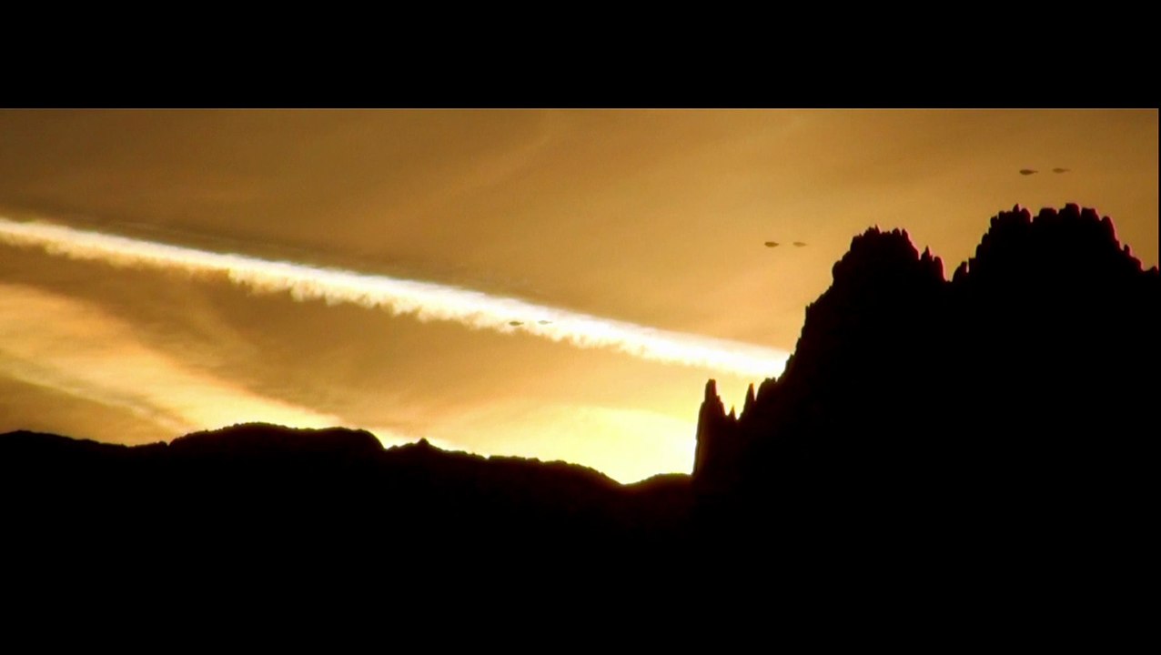 The Thin Yellow Line (Terrence Malick: the Truth !)