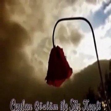 seni seven yüreğime sor beni