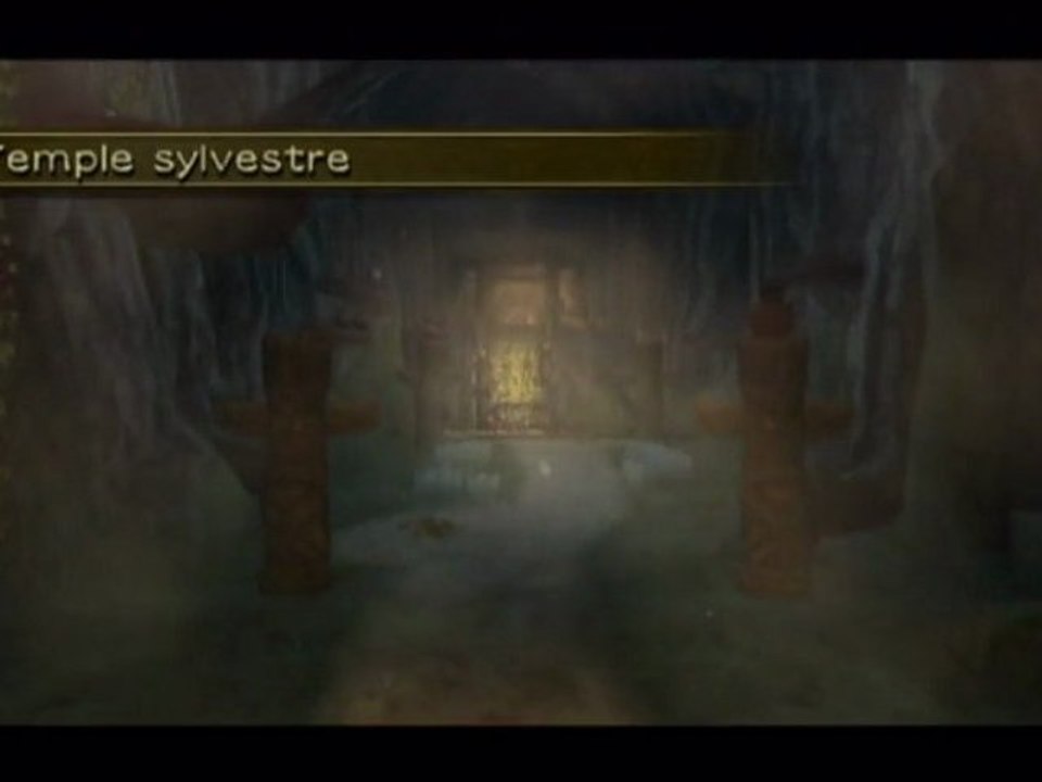 Zelda : Twilight Princess - Wii - 06/Temple Sylvestre