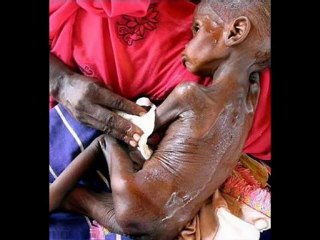 web 2.0 love food hate waste