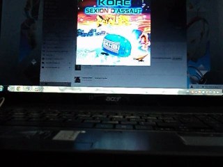 sahdi : KORE et sexion D'assaut .