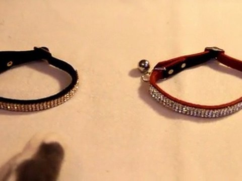 Chacun ses bijoux ( Collier pour chat Cristal Princesse) - Publicité Les P'tits Malins