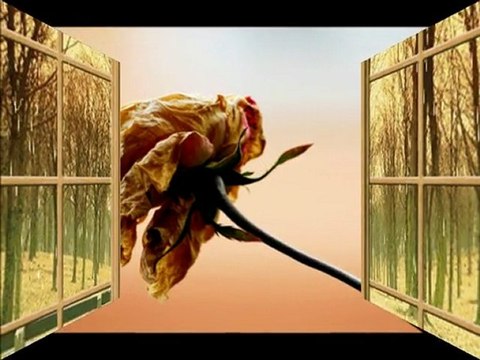 GÜL TÜKENDİ KIVIRCIK ALİ