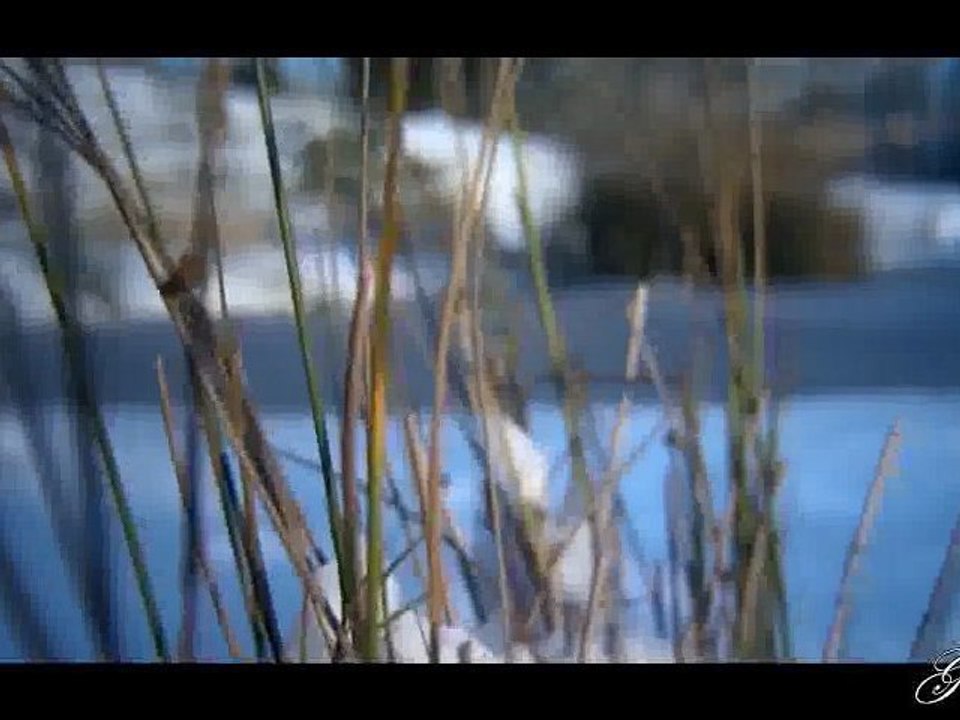 ГЕОРГИ МИНЧЕВ  СНЕГЪТ НА СПОМЕНА