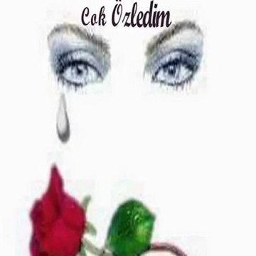 kır çiçeğim Muhteşem