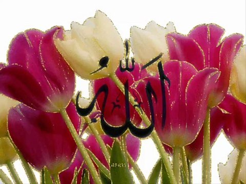 Harika Bir Fon İlahi