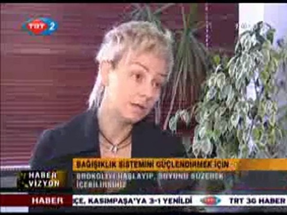 Haber Vizyon - 29.11.2009